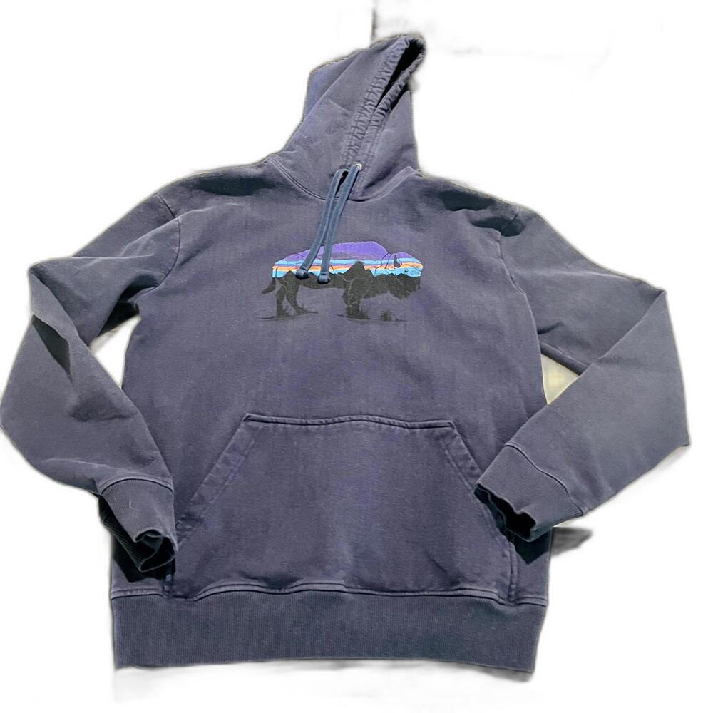 Patagonia Men's Logo Fitz Roy Horizons Uprisal Hoodie Long Sleeve Blue Size M